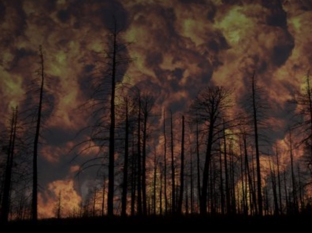 wildfire death and disease