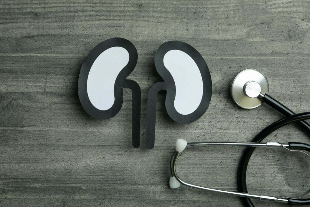 kidneys and stethoscope