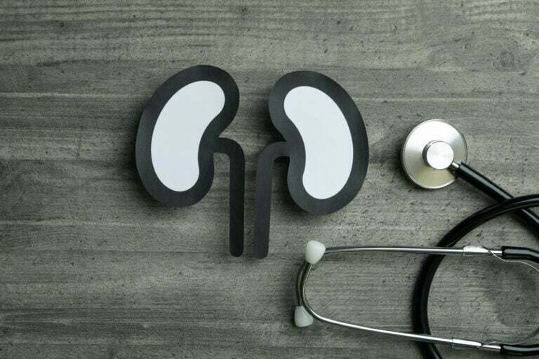 kidneys and stethoscope kidneys and stethoscope